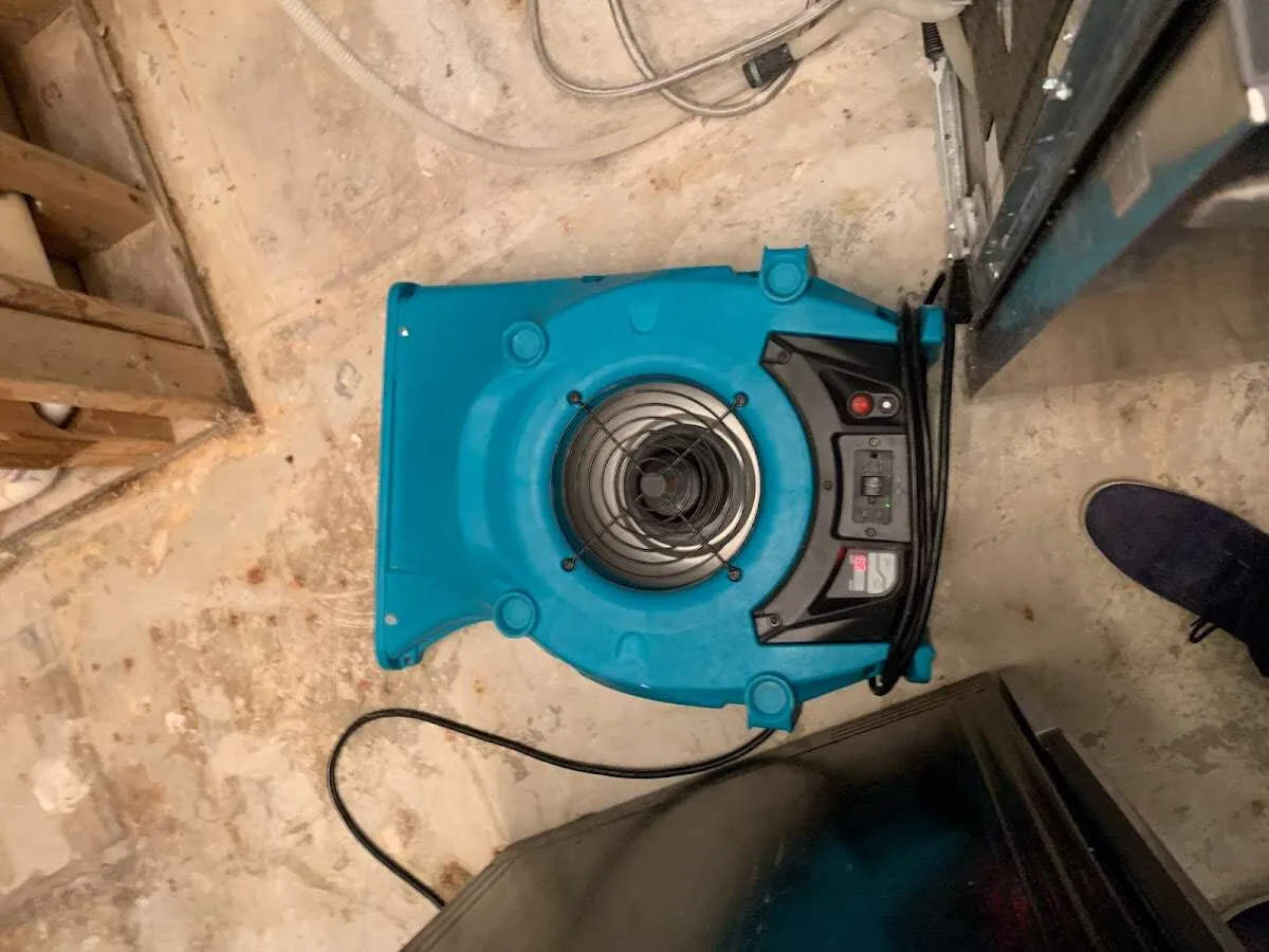 Air mover drying equipment for Mold Remediation & Removal in Nether Providence